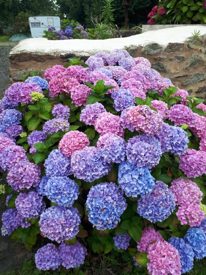 Manoir De Parc Ar Brun Villa Tréguier Dış mekan fotoğraf