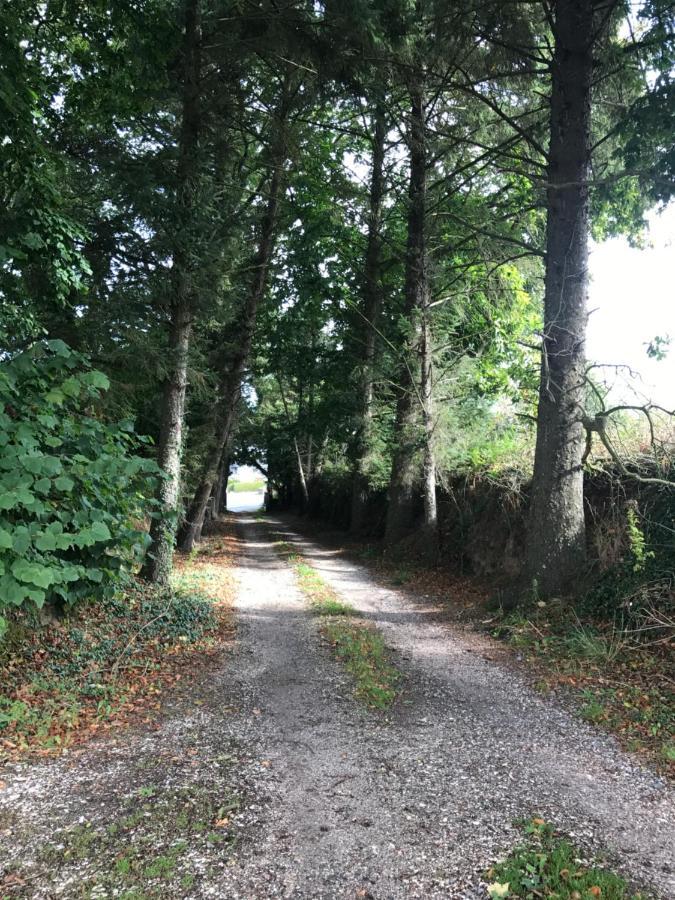 Manoir De Parc Ar Brun Villa Tréguier Dış mekan fotoğraf