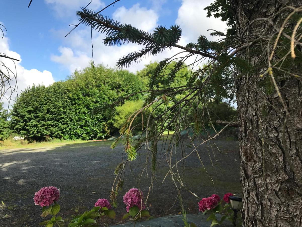 Manoir De Parc Ar Brun Villa Tréguier Dış mekan fotoğraf